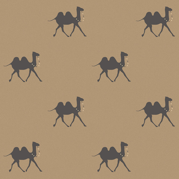 Non Returnable Sample of Pushkar Wallpaper