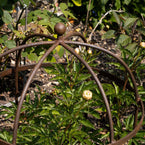 Wrought Iron Lobster Pot Plant Support