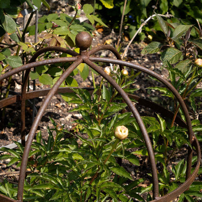 Wrought Iron Lobster Pot Plant Support