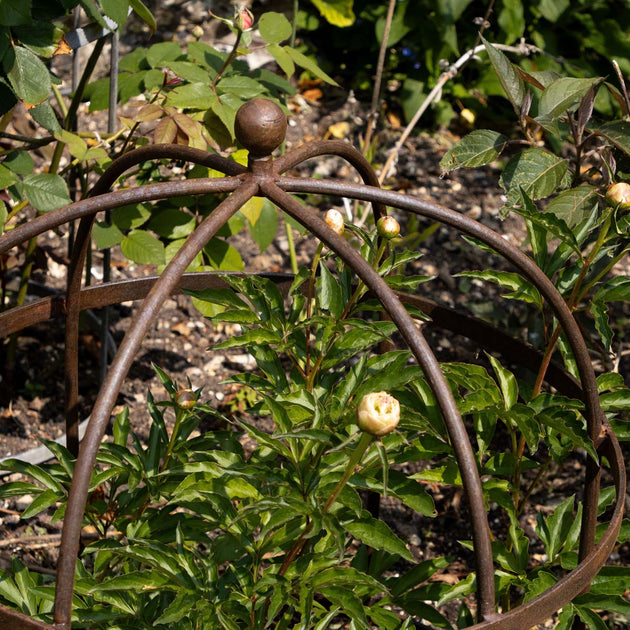 Wrought Iron Lobster Pot Plant Support