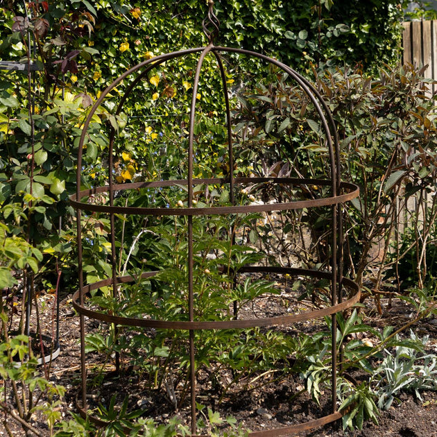 Wrought Iron Lobster Pot Plant Support