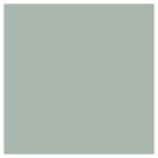 Pigeon Paint