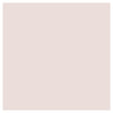 Pale Rose Umber Paint