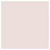 Pale Rose Umber Paint