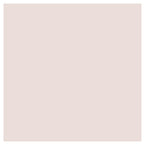 Pale Rose Umber Paint