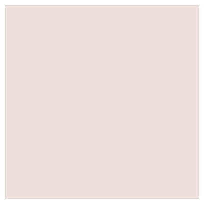 Pale Rose Umber Paint