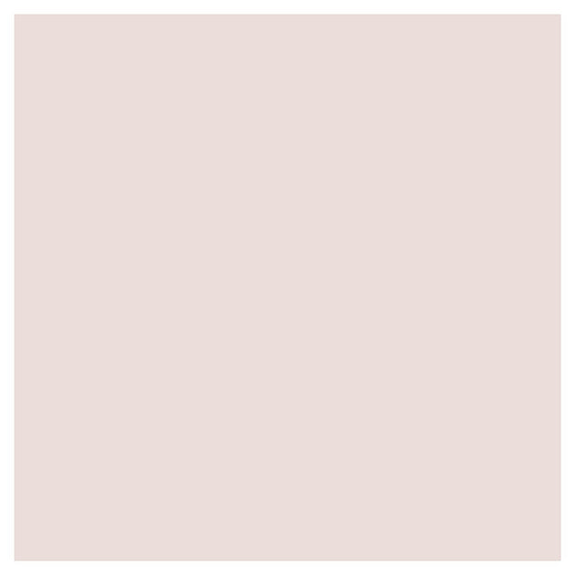 Pale Rose Umber Paint