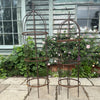 Wrought Iron Obelisk Plant Support