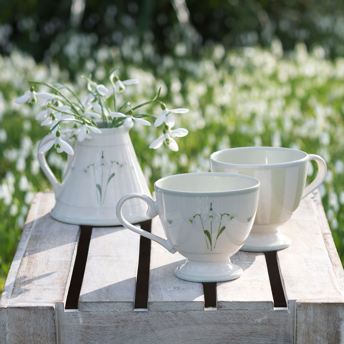 Snowdrop mugs and jug on wooden stools among garden snowdrops