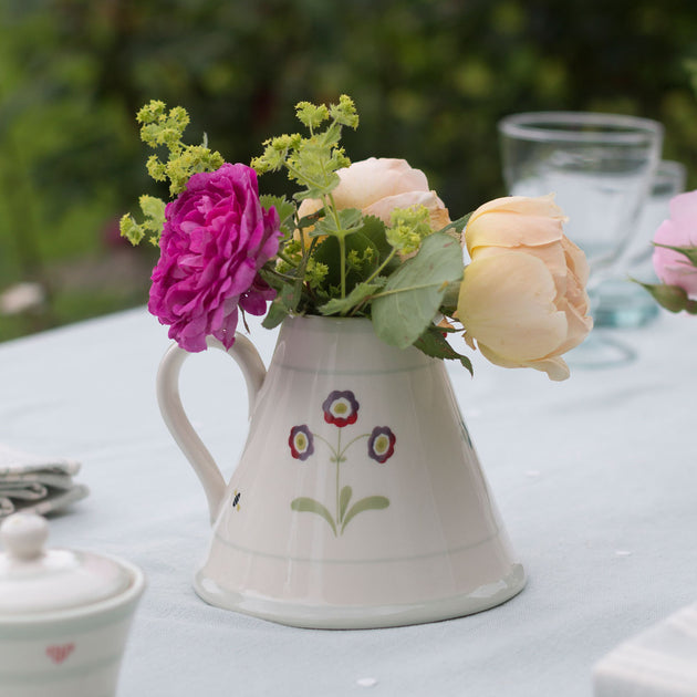 Dark Red Auricula Baby Pitcher