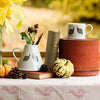 Guinea Fowl Baby Pitcher