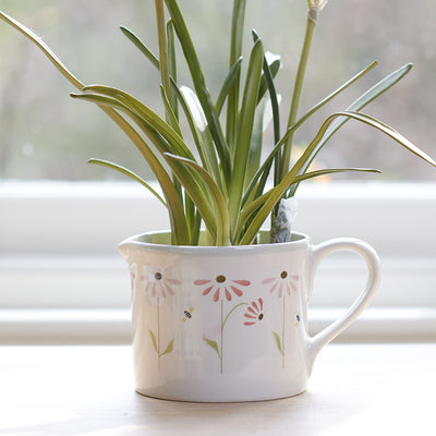 Echinacea Planter