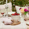 Rose Ivory Stripe Napkin (Set of 4)