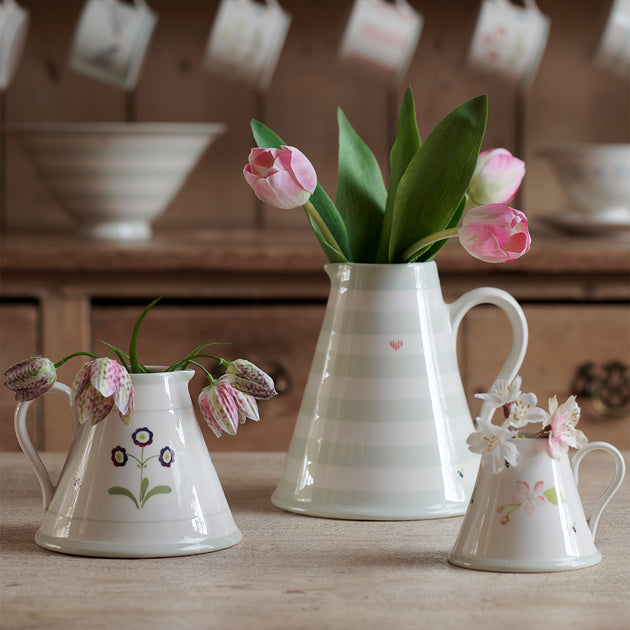 Dark Red Auricula Baby Pitcher