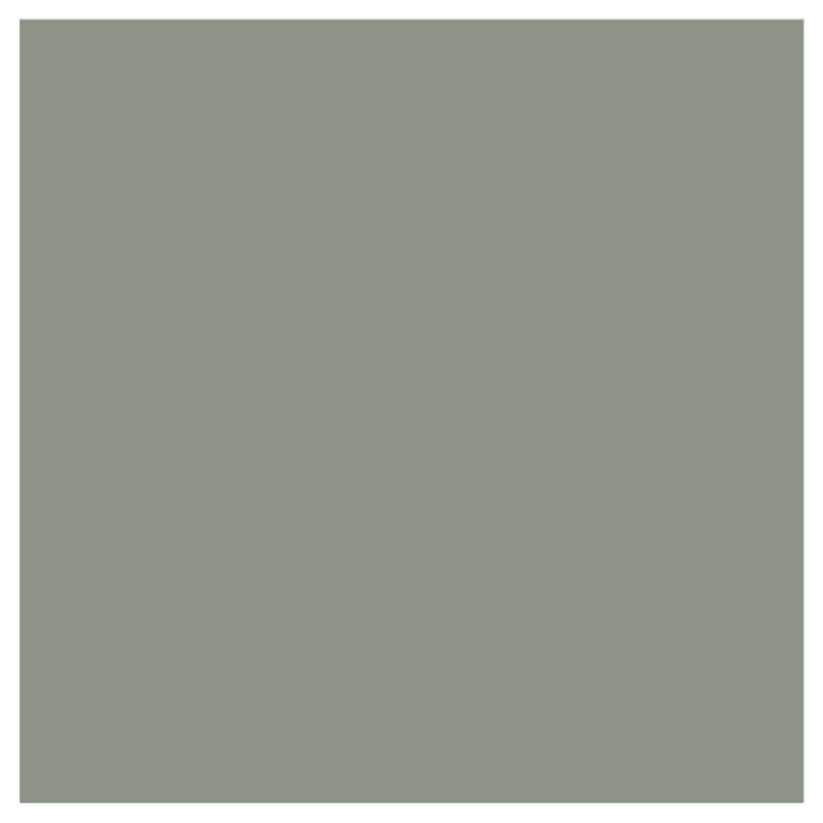 Eucalyptus Paint
