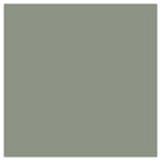 Eucalyptus Paint