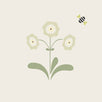 Green Auricula Pasta Bowl