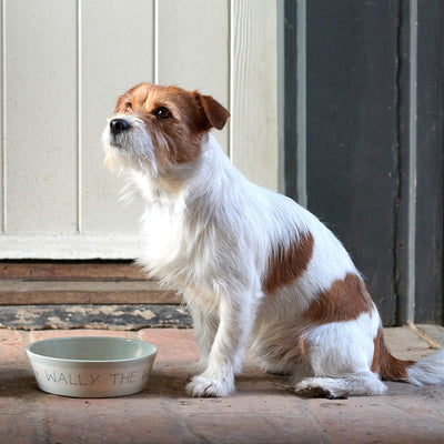 Personalised Dog&#x27;s Dinner Bowl – Blue