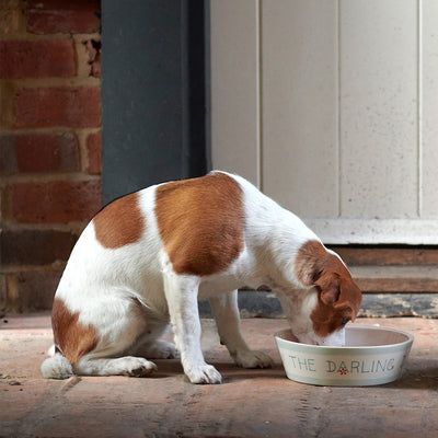 Personalised Dog&#x27;s Dinner Bowl – Pink