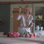 Large Mixed Dahlia Bunch FB10