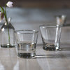 Hand-blown Clear Glass Tumbler