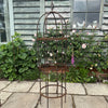 Wrought Iron Obelisk Plant Support