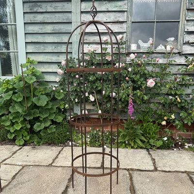 Wrought Iron Obelisk Plant Support