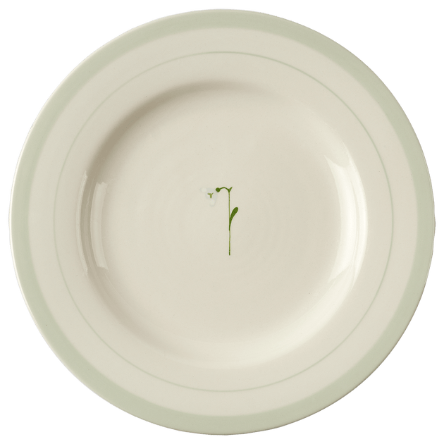 Snowdrop Dinner Plate