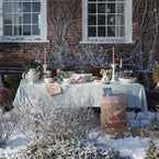 Duck Egg Robin & Rosehip Christmas Tablecloth – Extra Large