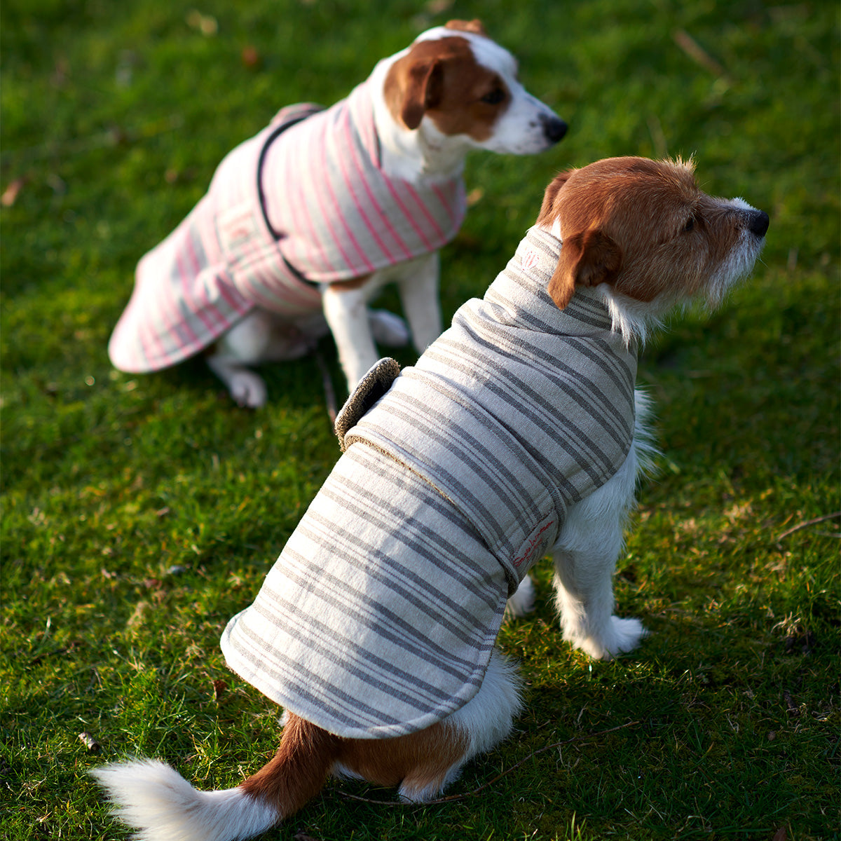 Dog Coat - Charcoal Stripe | Susie Watson Designs