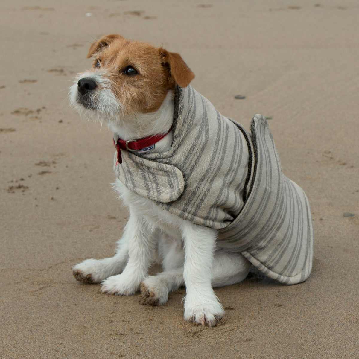 Charcoal Stripe Dog Coat