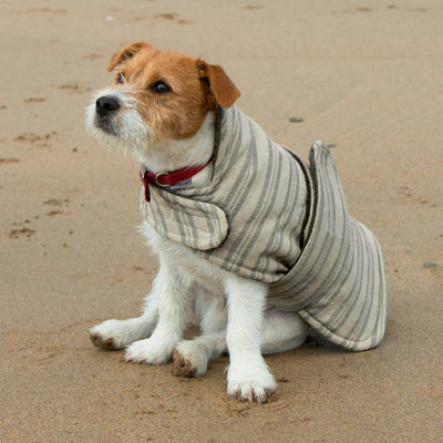 Personalised Charcoal Stripe Dog Coat