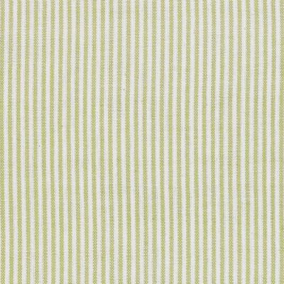 Summer Green Piping Stripe Cotton – Double Width – A30