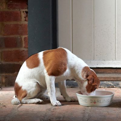 Personalised Dog's Dinner Bowl – Pink